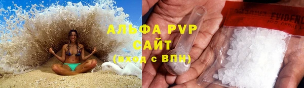прущие грибы Волоколамск