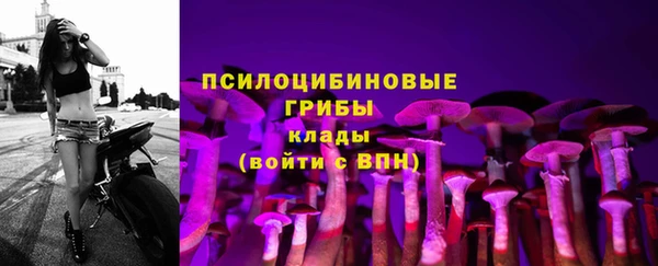 гидра Володарск