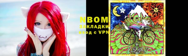 гидра Володарск