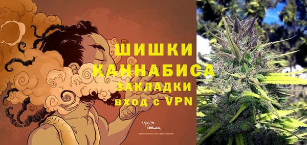 прущие грибы Волоколамск