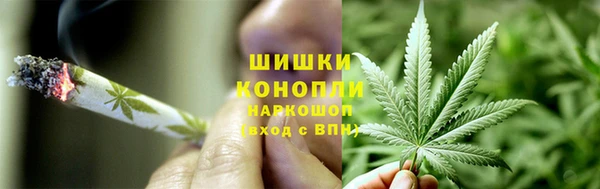 гидра Володарск