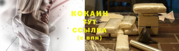 гидра Володарск