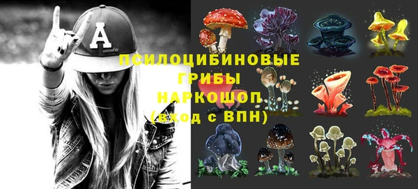 прущие грибы Волоколамск