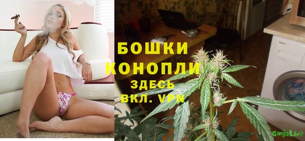 гидра Володарск