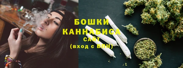 прущие грибы Волоколамск