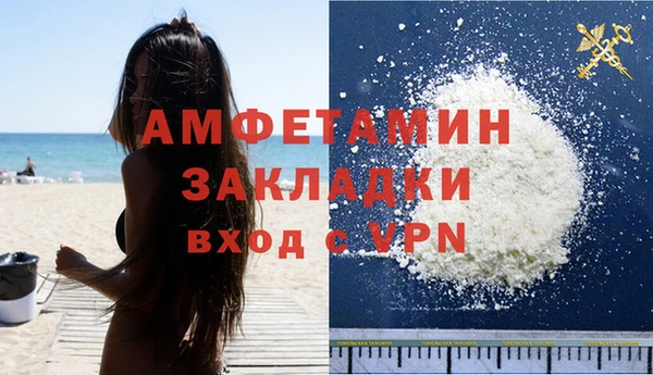 гидра Володарск