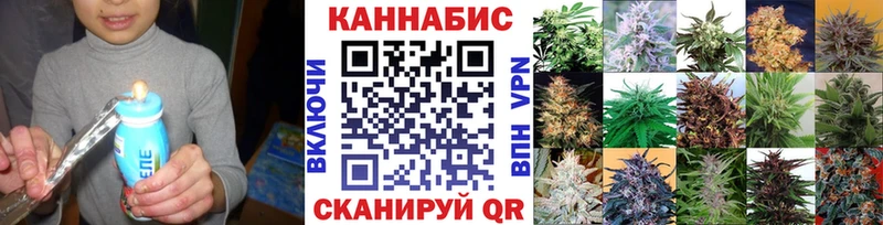 Бошки Шишки планчик  купить наркотики сайты  Шадринск 